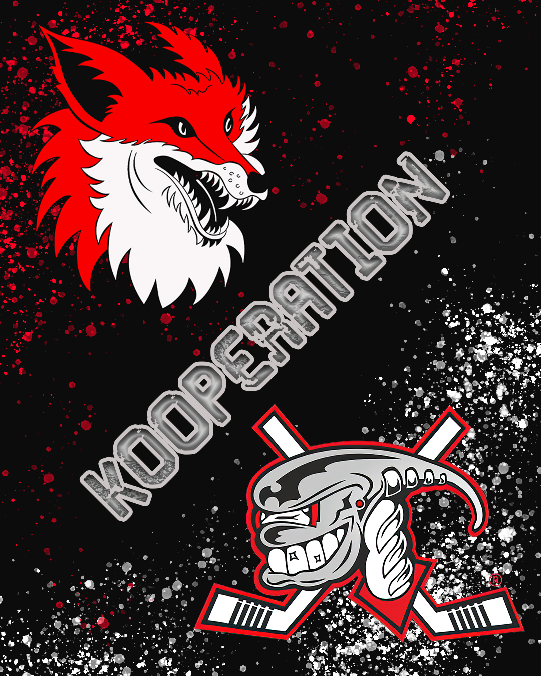 Nachwuchs-Kooperation zwischen den Ratinger Ice Aliens und dem EV Duisburg besiegelt